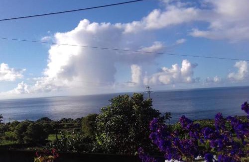 Sao Mateus House | Sunflower Guest House - Madalena - Pico