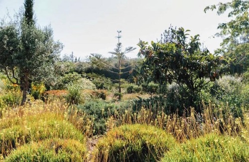 Olhao Apartment | The Hideout - Green Haven cottage with pool