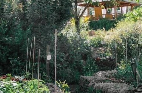 Olhao House | The Nest - Bohemian Eco-Retreat with Pool