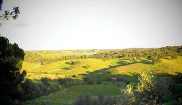 A peaceful retreat in the heart of the Alentejo in Ciborro