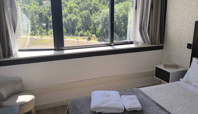 Aromas do Vouga Apartment - Termas São Pedro do SUL