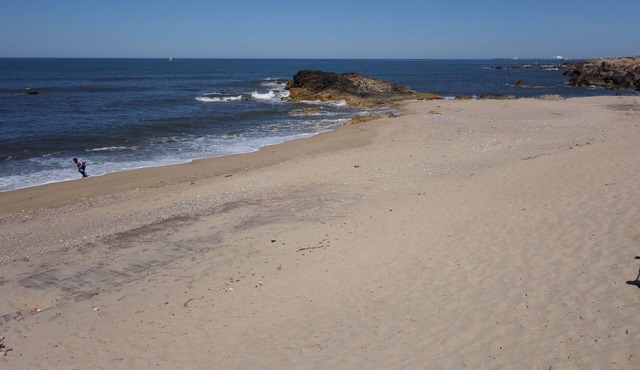 Beach apartment with sea view only 15 minutes away from Porto center and 100mts