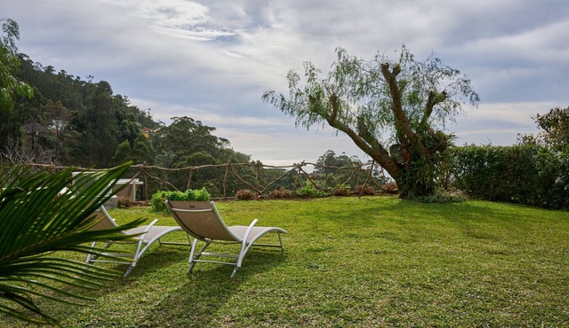 Casas Maravilha - Árvore by Madeira Sun Travel