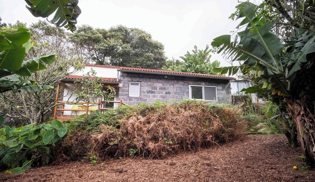 Comfortable cottage on a small farm