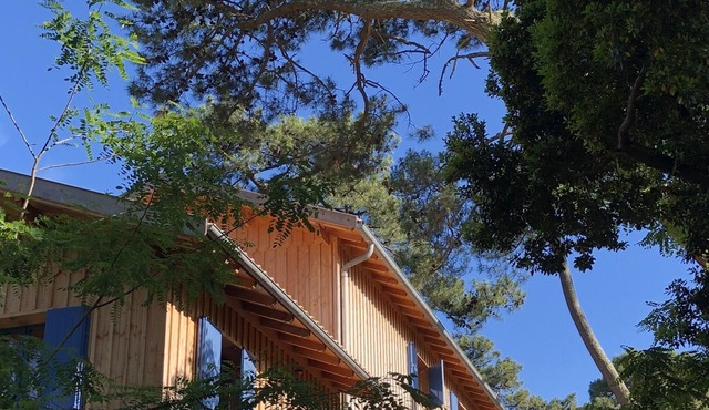 Comfortable wooden house sleeps 8 Plage des Américains Cap Ferret in Lège-Cap-Ferret