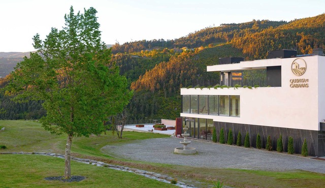 Douro Valley Villa w/Padel, Pools, Gym & Sauna