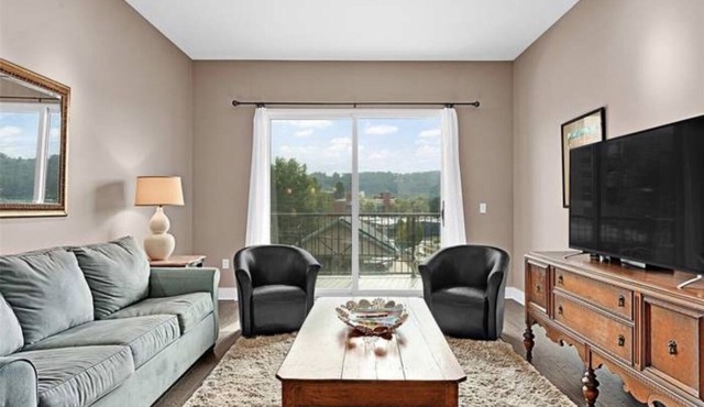 Downtown! Brand New! Luxury Condo In The Heart Of Asheville! in Asheville
