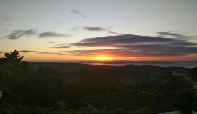 Explore bush and beach in Titirangi in Titirangi