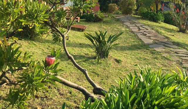 Homerez - Nice house for 3 ppl. with sea view, terrace and balcony at Madère