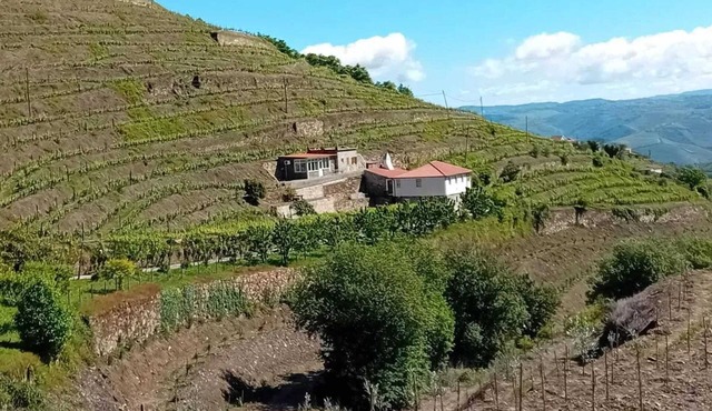 Homerez - Villa in Lamego