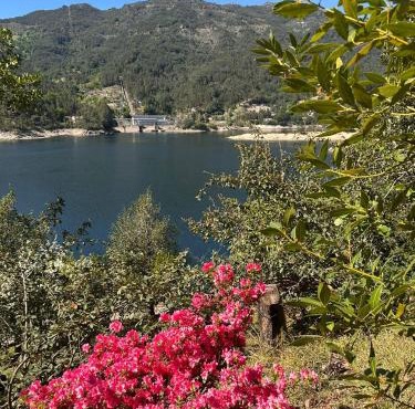Lake House Gerês