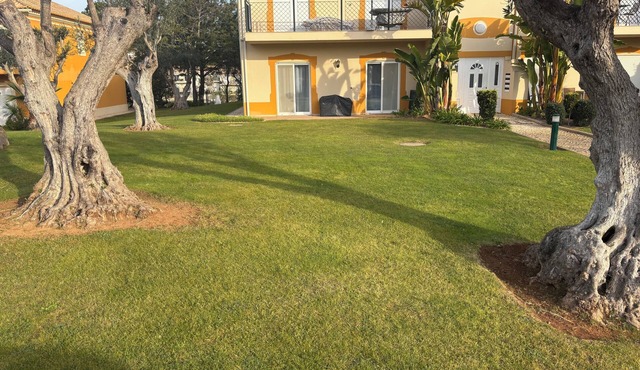Luxury Apartment, fully renovated in top class condition