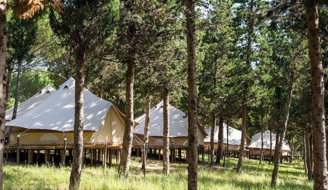 Nature Retreat Stay | 2.1 mi to Tapada Nacional de Mafra Park | Pool Access