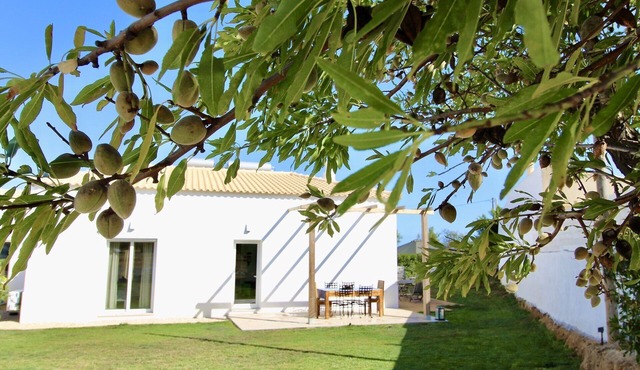 New 2 Bedroom House With Garden and Shared Pool