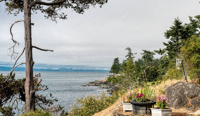 Oceanfront West Coast Vacation Home-Surfside Cottage with hot tub in Sooke