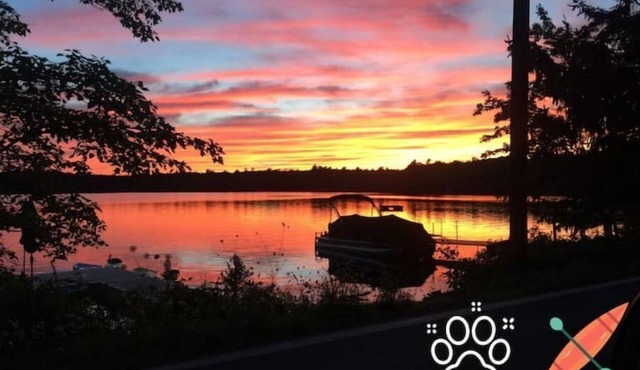 Pet Friendly Lakefront Cabin in Tafton