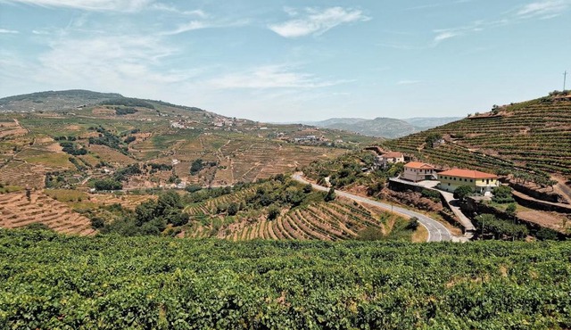 Private Fonte Country House with Jacuzzi - Douro Valley
