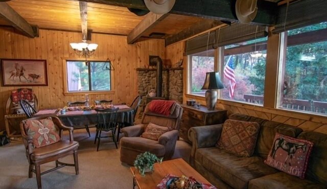 Private Mountain Retreat with Views, Fireplace, Pet-Friendly and Family Ready in Pagosa Springs