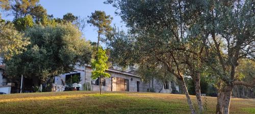 Quinta da Pedra Mija