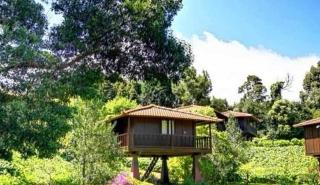 Quinta das Eiras Shelter 3