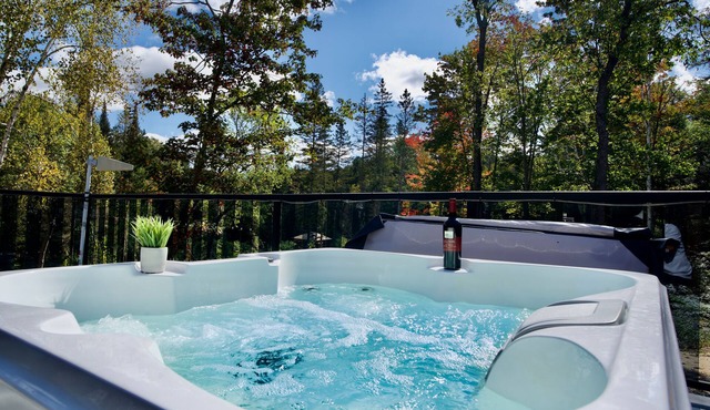 Riverfront Oasis on 55 Pvt Acres with Wifi , Sauna and Hot Tub in Burks falls