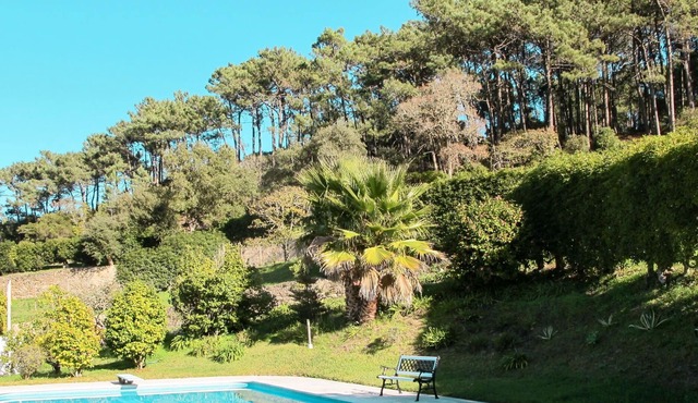 Stunning private villa for 6 people with WIFI, private pool, TV, terrace and parking