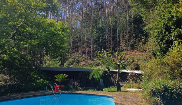 Timber Cottage with swimming pool