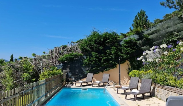 Villa Moledo Sea view and salt swimming pool