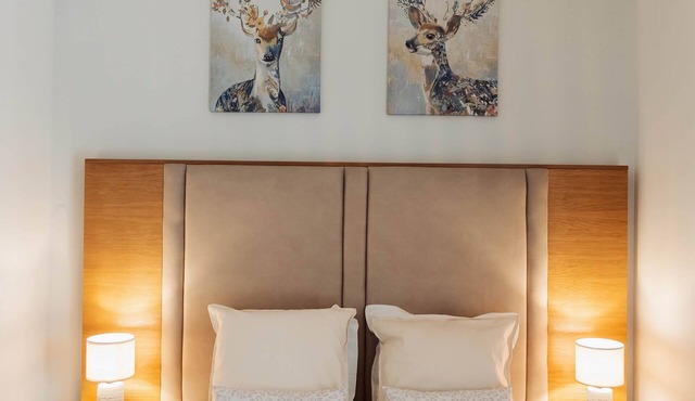 Villa Views Deluxe Double Room with Extra Bed 15