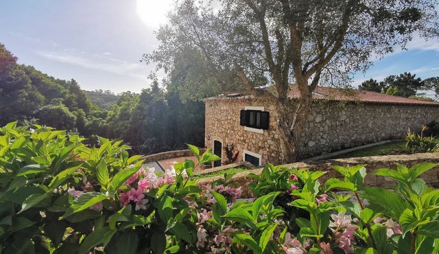 Vitorino Deluxe - at the heart of the natural park Sintra - Cascais