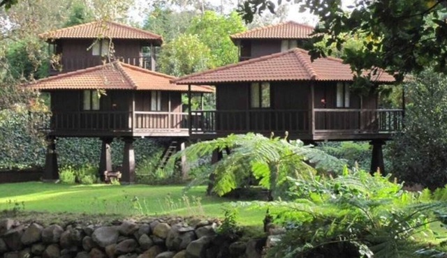 Wooden refuge in the heart of nature