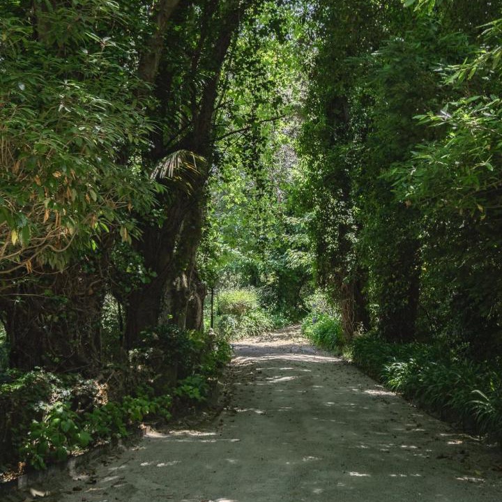 Sintra Ski Chalet | Quinta da Penalva - Sintra