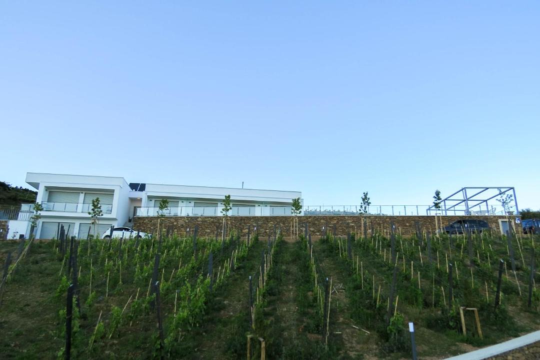 Mesao Frio Bed & Breakfast | Casa Miradouro