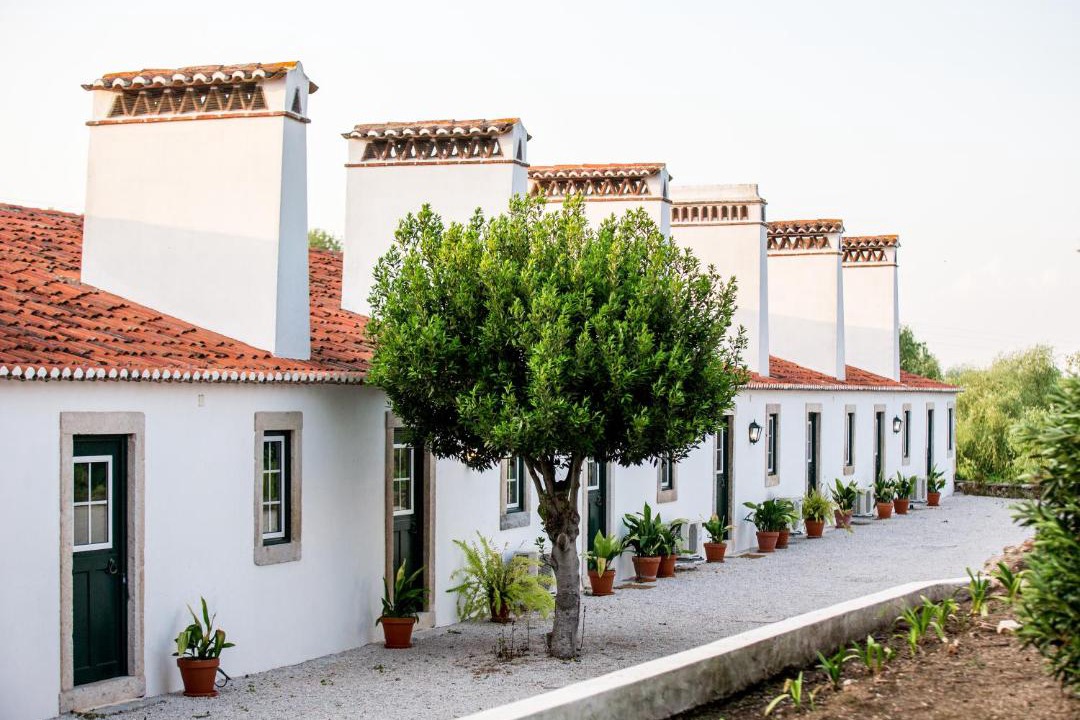 Golega House | Casas da Piedade