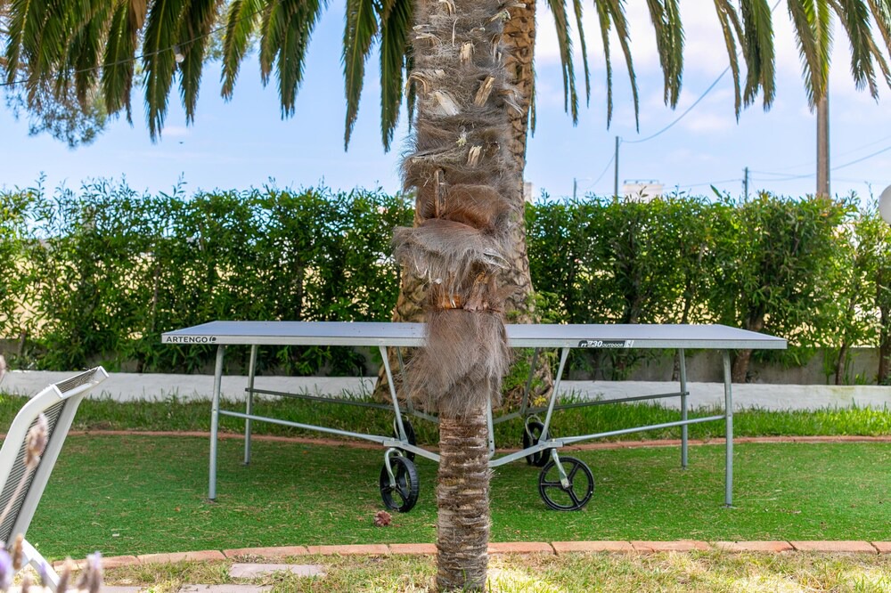 Photo of Outdoor in Vales