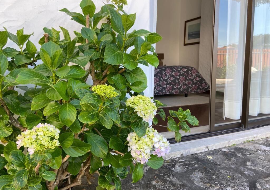 Photo of Outdoor in Salir do Porto