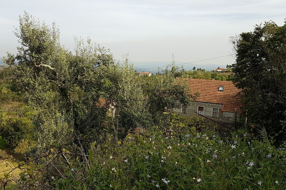 Photo of Outdoor in Sao Simao