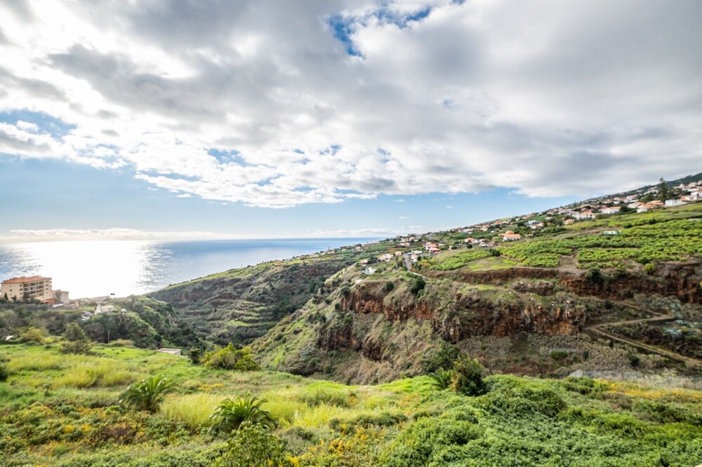 Photo of Others in Estrela da Calheta