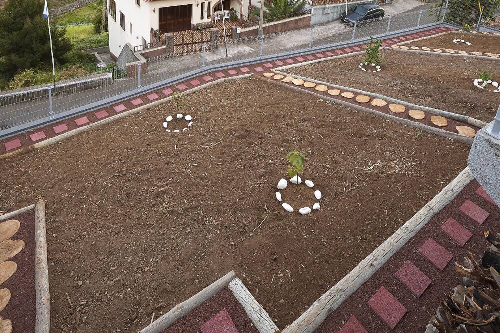 Photo of Others in Estrela da Calheta