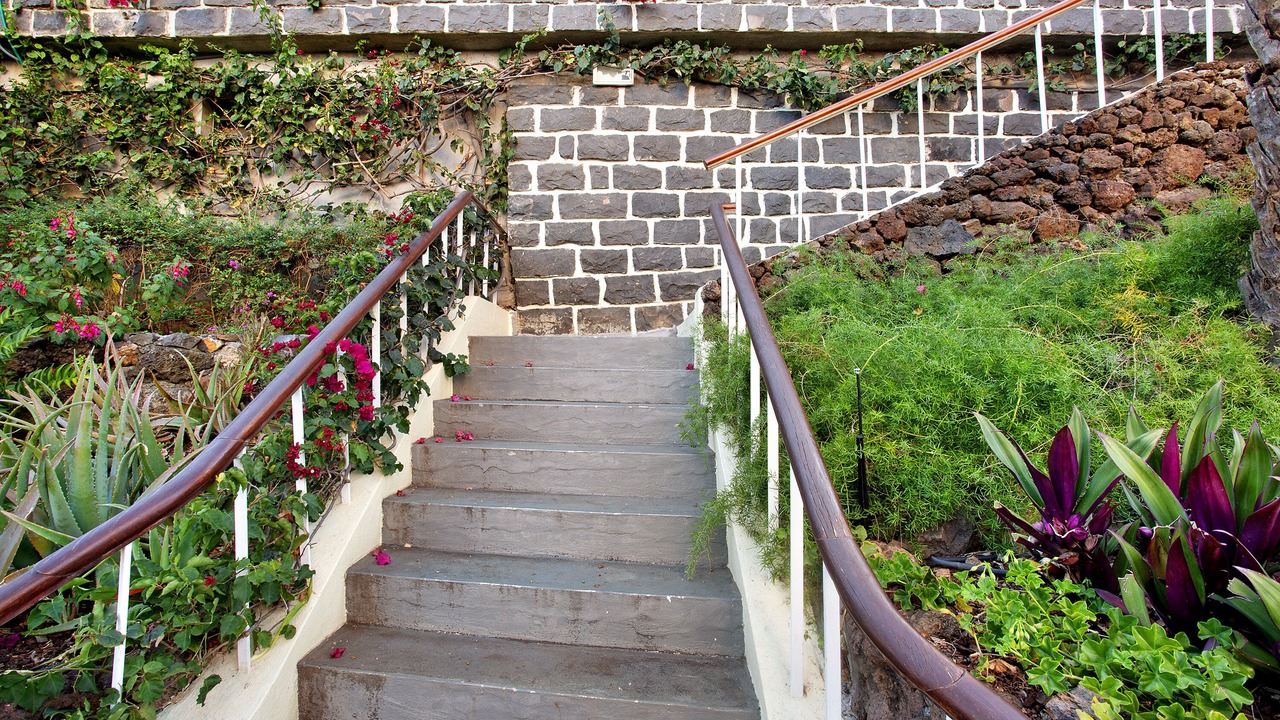 Photo of Outdoor in Sao Martinho
