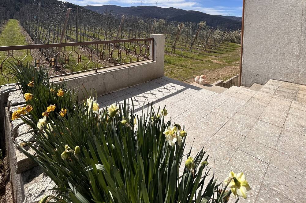 Photo of Outdoor in Lamego