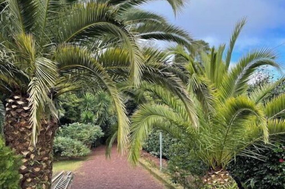 Photo of Outdoor in Ponta Delgada