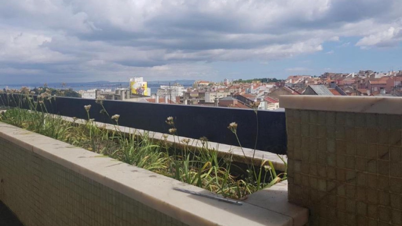 Photo of Outdoor in Alto do Pina