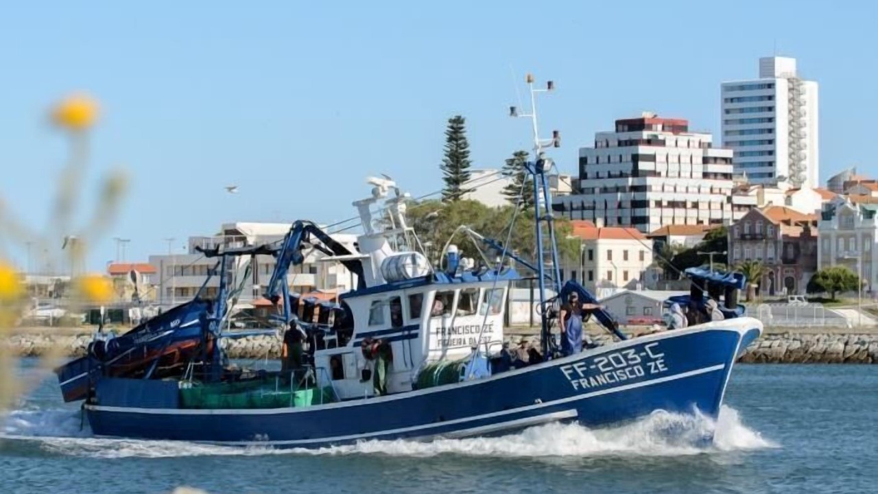 Photo of Others in Figueira da Foz
