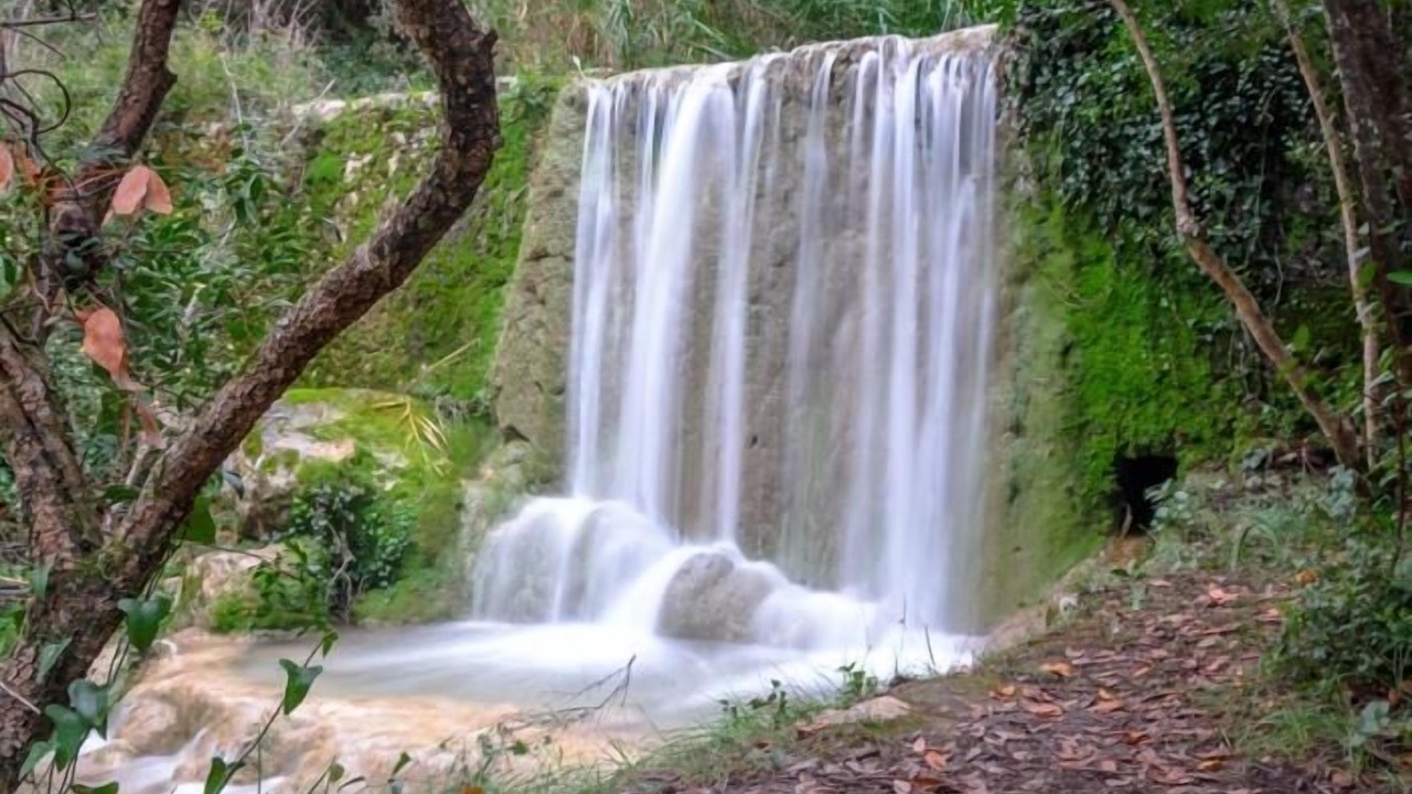 Photo of Outdoor in Figueira da Foz