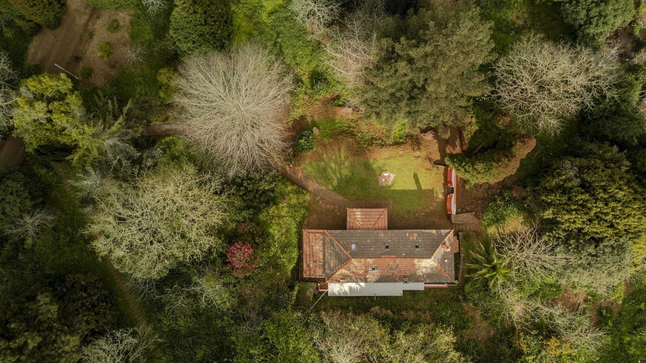 Photo of Outdoor in Camacha