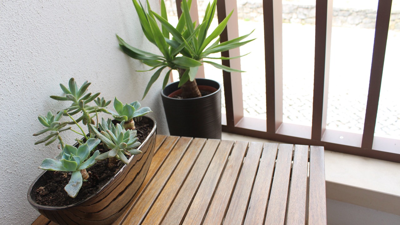 Photo of Patio Balcony in Sao Bento
