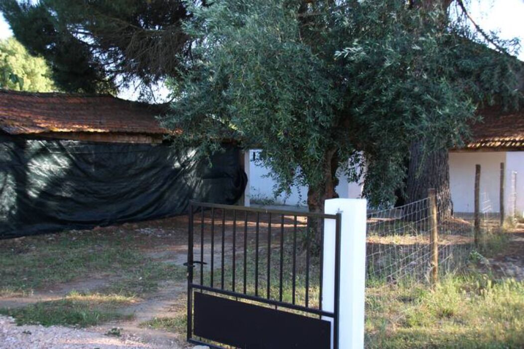 Photo of Outdoor in Santa Maria dos Olivais