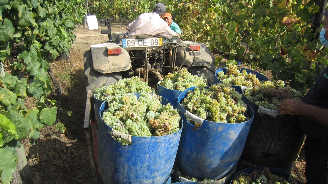 Photo of Outdoor in Fareja