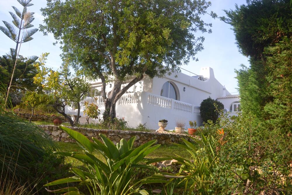 Photo of Others in Vale de Covo